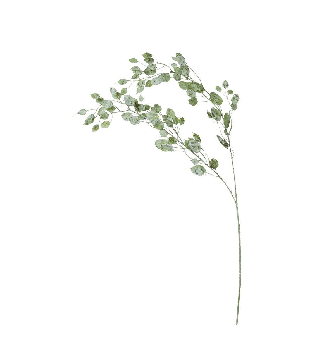 Miniature eucalyptus stem used as decor on the psychotherapy page, symbolizing tranquility and natural healing.